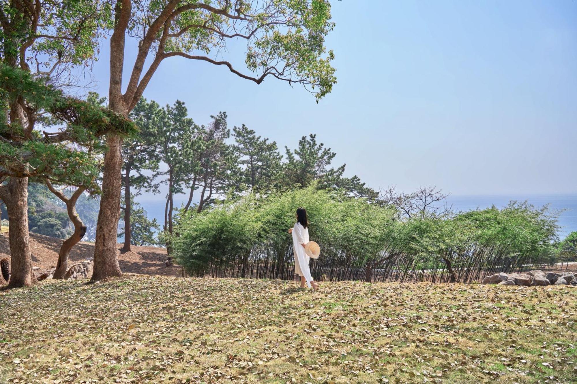 Jw Marriott Jeju Resort & Spa Seogwipo Exterior foto